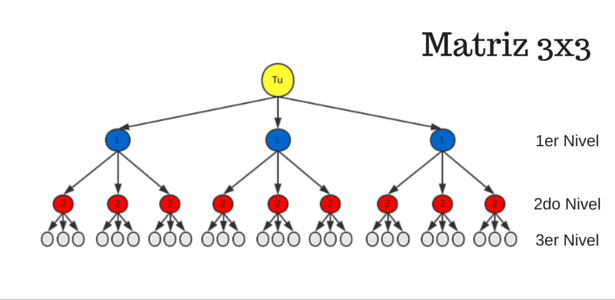 matriz-forzada-3x3